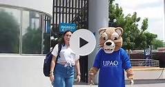 Videos de UPAO (@upao_peru) con «sonido original - UPAO»