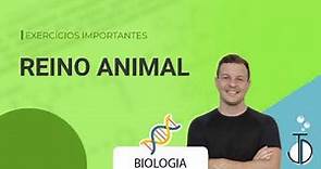 REINO ANIMAL - Exercícios importantes