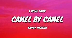 SANDY MARTON - Camel by camel (1 HOUR LOOP)