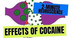 2-Minute Neuroscience: Effects of Cocaine