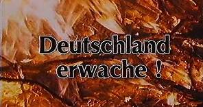 Deutschland erwache - Die Wiedervereinigung der Neo-Nazis (1990) Doku Deutsch