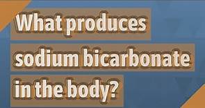 What produces sodium bicarbonate in the body?
