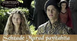 Şehzade Murad Payitahta geliyor - Muhteşem Yüzyıl 139. Bölüm