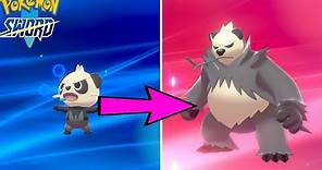 How To Evolve Pancham in Pokemon Sword And Shield - Nintendo Switch Walkthrough Gameplay
