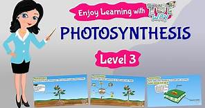 Photosynthesis For Kids | Science | Grade 3 & 4 | Tutway