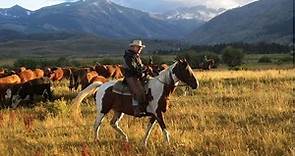 Top 5 Montana Vacation Ranches
