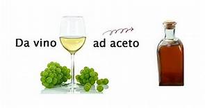 Utilizzi del vino bianco: aceto di vino bianco fatto in casa. Per maggiori INFO vedi descrizione.