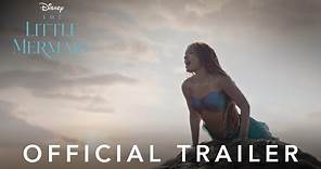 Paloma Faith Bashes New 'Little Mermaid' Film For Boy-Chasing Tropes