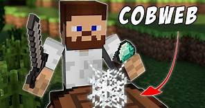 How to CRAFT cobwebs in Minecraft 1.18