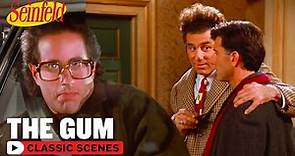 Kramer Proves Lloyd Braun Isn't Crazy | The Gum | Seinfeld