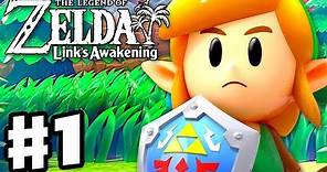 The Legend of Zelda: Link's Awakening - Gameplay Part 1 - Intro and Tail Cave! (Nintendo Switch)