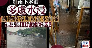 紅雨來襲｜今年首發紅色暴雨警告信號 多處出現水浸｜星島頭條新聞｜紅雨｜紅色暴雨警告信號｜水浸