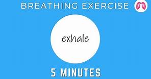 Breathing Exercises To Stop A Panic Attack Now | TAKE A DEEP BREATH