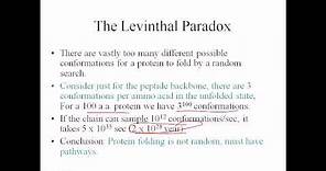 Levinthal paradox