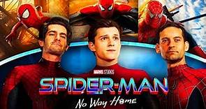 Spider-Man No Way Home Full Movie Hindi Dubbed Facts | Tom Holland ...