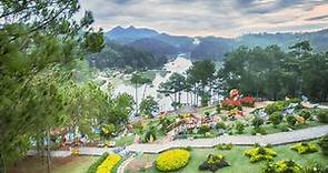 Valley of Love Dalat - A Romantic Paradise of Life - Culture Pham Travel