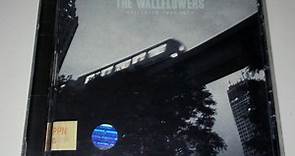 The Wallflowers - Collected: 1996-2005