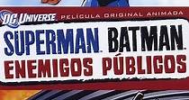 Superman/Batman: Enemigos públicos online
