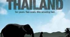 The Eyes of Thailand (2012) Online - Película Completa en Español - FULLTV