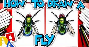 How To Draw A Realistic Fly