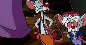 Pinky and the Brain Pinky and the Brain S03 E022 T.H.E.Y.