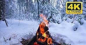 🔥 Cozy Campfire in the Winter Forest (10 HOURS). Campfire with Burning Logs and Nature Sounds