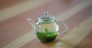 GRÜNER TEE richtig zubereiten | Friends of Tea