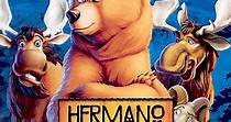 Hermano oso - película: Ver online completas en español