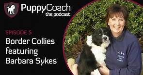 Border Collies with Barbara Sykes | Puppy Coach Podcast Epsiode 5