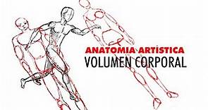 Anatomía Artística, Volumen corporal para principiantes