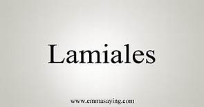 How To Say Lamiales