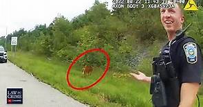 Bodycam Shows Ohio Police Encountering 'Zombie Deer'