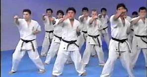 Kyokushin karate encyclopedia 1.