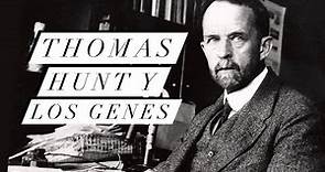 Thomas Hunt Morgan: El Científico que Ubicó a los Genes en los Cromosomas
