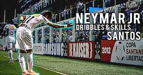 Neymar Jr | Dribbles & Skills Santos | HD