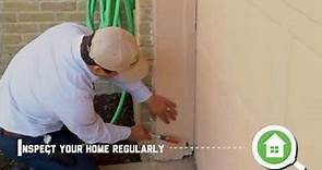 7 Steps to Prevent Termites and Protect Your Home