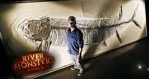 The Prehistoric Monster Xiphactinus | River Monsters