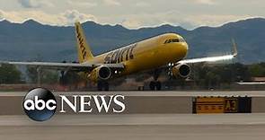 Spirit Airlines experiencing flight cancellation chaos