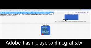 Test Flash Player