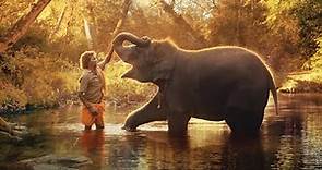 The Elephant Whisperers 2023 Explained in HINDI | Indian Oscar Winning Documentary