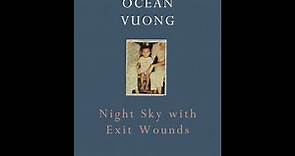 Plot summary, “Night Sky With Exit Wounds” by Ocean Vuong in 5 Minutes - Book Review
