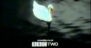 BBC2 (Last Swan) 2001