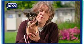 Alan Davies in The Dog Rescuers: Series 4 - Trailer