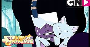 Steven Universe | Garnet and Steven Save The Kittens | Pool Hopping | Cartoon Network