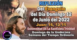 REFLEXIÓN DEL EVANGELIO DEL DÍA DOMINGO 12 DE JUNIO 2022. JUAN 16, 12-15