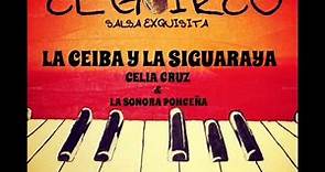 CELIA CRUZ & LA SONORA PONCEÑA - LA CEIBA Y LA SIGUARAYA