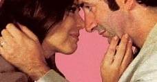 Una pareja perfecta (2002) Online - Película Completa en Español - FULLTV
