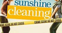 Sunshine Cleaning - movie: watch stream online