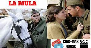 LA MULA - Película Completa en Español - (Mario Casas y Maria Valverde)