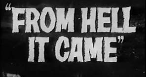 Trailer: From Hell It Came (1957)